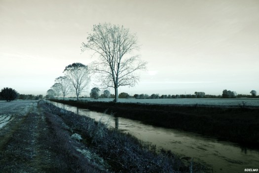 4078432209_273e0aa6ac_o