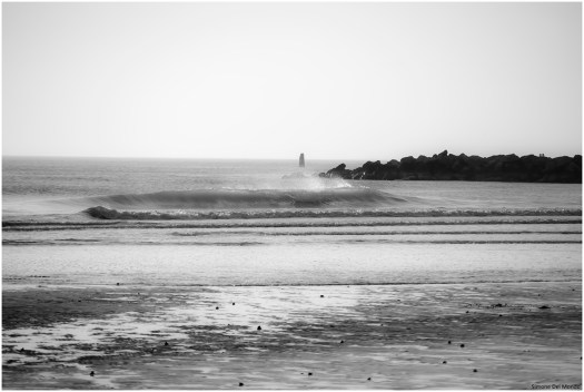 Grado febb 2015_0092 fb