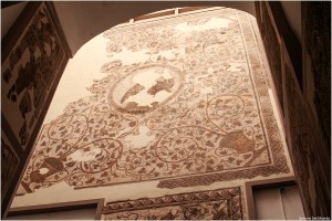 Tunisia 15-22 luglio 2008 323 fb