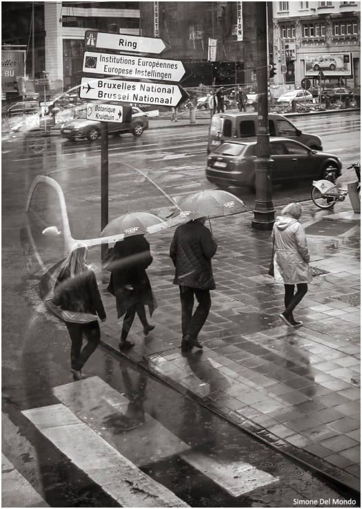 14213129851_a6b11b5e28_o