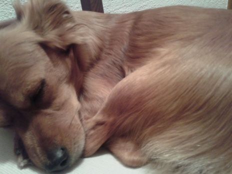 ApZ_rgde286Bx2XznFB_O1OIXGMZE4-v2APoBXEnqaOx