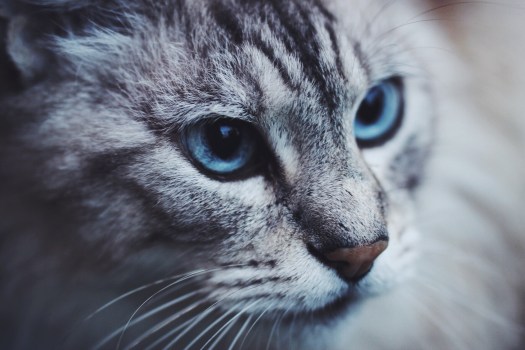 Processed with VSCOcam with f2 preset