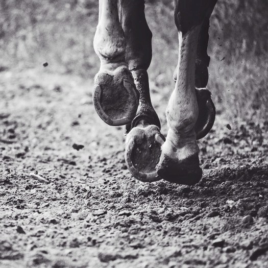 Processed with VSCOcam with b5 preset