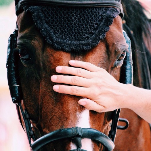 Processed with VSCOcam with c1 preset