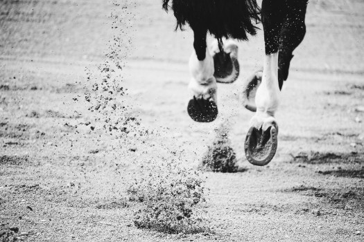 Processed with VSCOcam with b5 preset