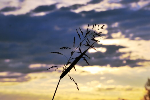 Scorci di cielo 026 fb