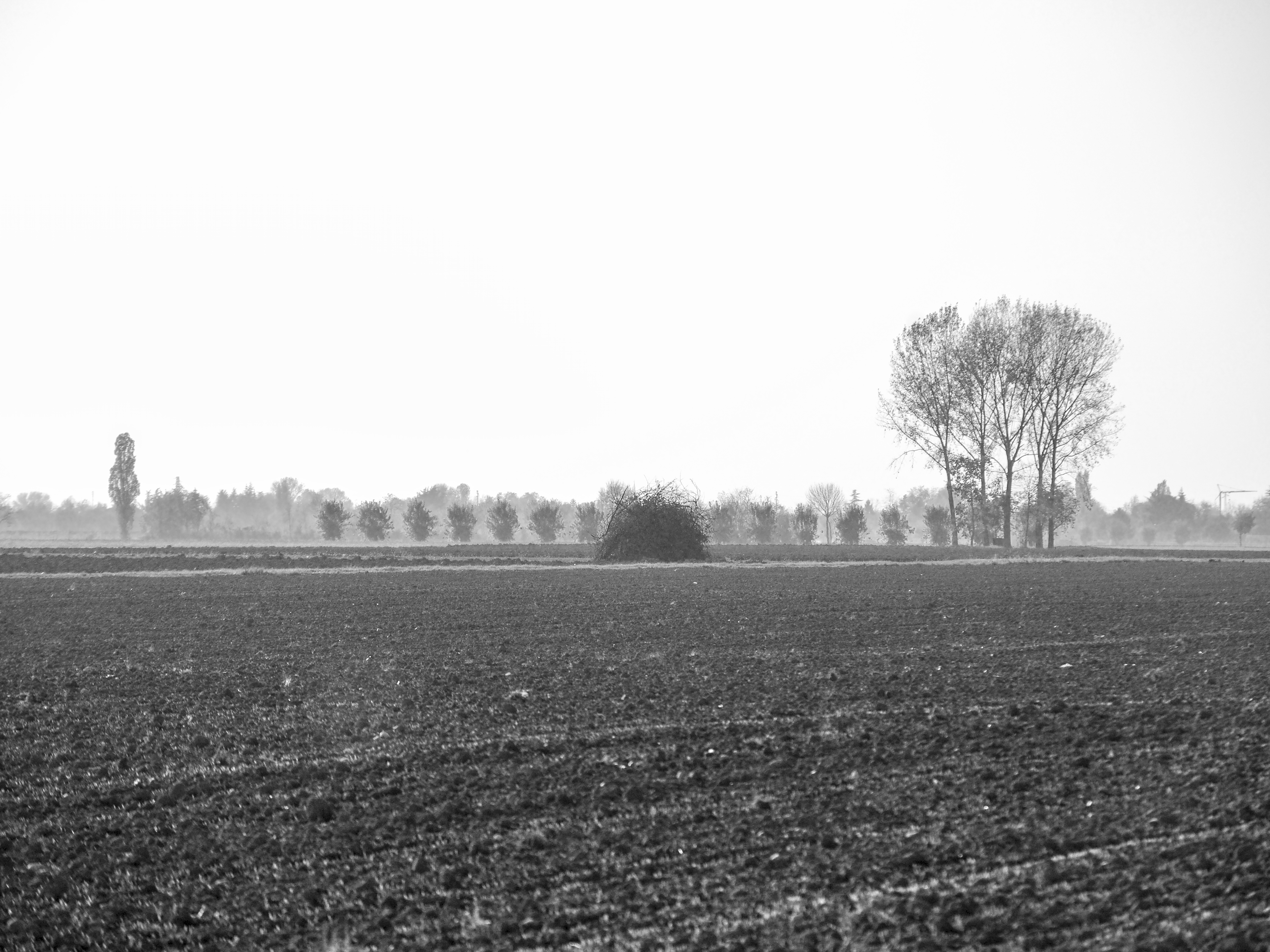 Autunno 2011_005 sdm