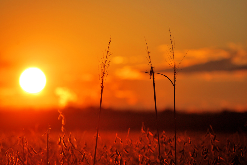 In sul calar 033 fb.jpg